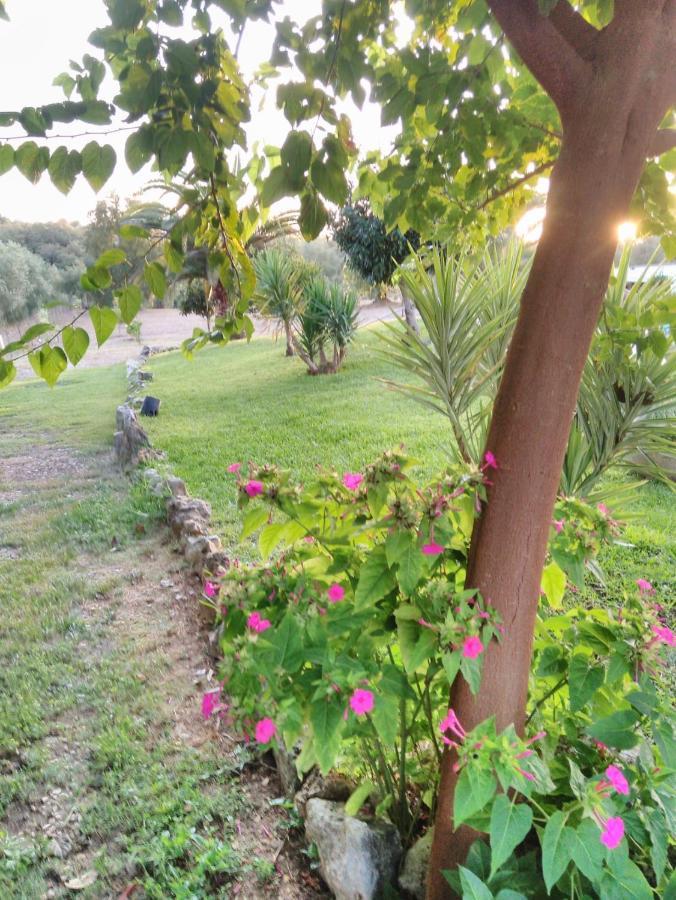 Quinta Da Perdiz Country House Villa Santarém Exteriör bild